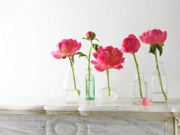 429820_361738603857757_1017453884_n